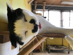 2E74C9A9-233B-4A68-981C-C1F8CDFC98C0