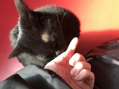 0C5776E6-D8EE-4F51-8DA8-09B6EA33F76C