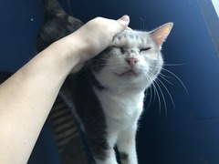 7F66FFD5-7362-4754-A2F5-5F0726F8A295