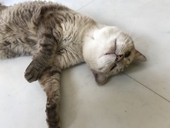 1E5F3B39-9A06-41C6-BB9F-57892B868D19