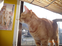 DSC06938
