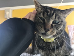 AE4788D0-C8EF-4458-B21D-3C6719B1D06A