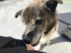 1DE8452D-54DE-4296-BF40-EA6A52B81567