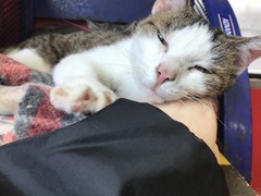 0B02971E-0ED4-48C5-8B3D-B8B24356AD06