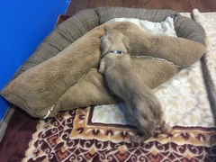 F27528E5-3F66-4D80-9238-7E698F92C2BC