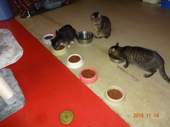 DSC06718