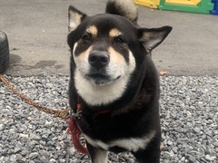 56FFEE12-5FED-4A65-90EF-5AC80B2280B9