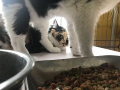 FCCD778B-A868-4A43-8FC2-8FABD2E768FE