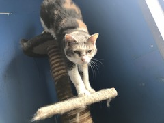 51B7A9C8-9FAC-44C5-AABD-0977E5545F63