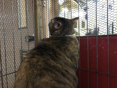 A924897C-37D7-4535-8F75-A6F1A9CB9970