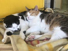 DD32FEE7-F002-45B2-8189-E986F2FB5024