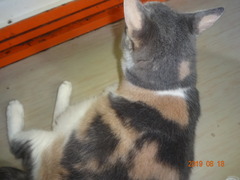 DSC06080