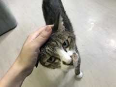 98125ED5-A0D1-4576-9AE2-D6BB9404CDB1