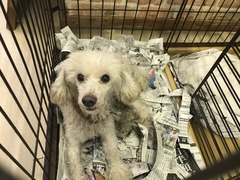 3FB8CDB7-51FD-412B-92EB-DF0DA7081507