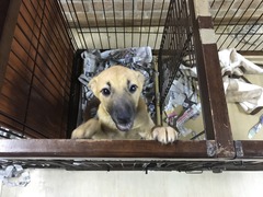 416685E2-D4D4-44CD-8B50-1C9DA3480846