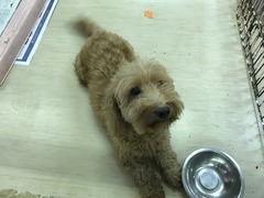 D42C5F5F-A118-44AE-8F19-76CA69515DB8