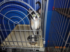 DSC07027