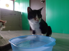 DSC08327