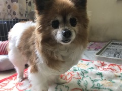 A7EF4B7A-6E83-4F17-94FB-BCB01367BCC0