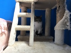 DC0A7352-3385-4677-8883-738686C19D73