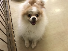 A7E090F9-AFB1-4336-9598-04D884054F78