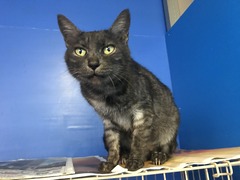 5CEFB400-A8BF-499E-952F-FC8CBB7A6DF6