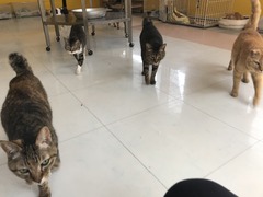 BB7A3EE9-D86C-47FA-B869-205F0AFBB798