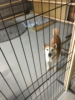 0B5E8A2B-227C-4427-B5B4-19BCD1005C75