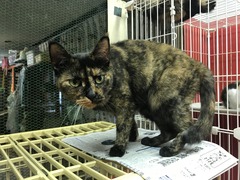 3C1883BE-8951-4B89-85E9-E2EA1616E6FE