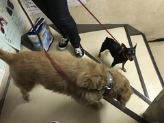 4B49E4B5-E5CC-44DF-B648-AC2F4C82E1C0