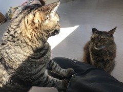 45923BDB-B368-4771-B625-EA3516EE2B9C