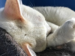 F6AFB802-81CD-4C91-8237-33689ED08EF4