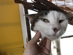 7BFCFD5B-C6BE-439C-B506-572C296269EB