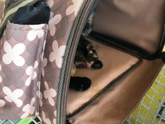 3859738B-18B7-49A3-AB66-1B2D71E98AC5