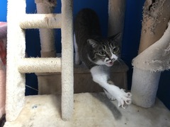 37A1A5A8-B970-4958-84A9-C0692EFCE48D