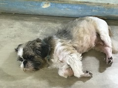 E2AEBA26-2820-4B92-87A6-59543C6A349C