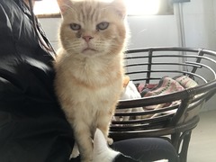 6C910877-1F72-4537-BAA9-6BA551590DA6