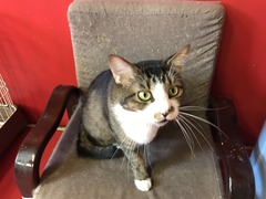 77059818-9B21-410B-BCD0-945F70130661