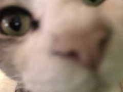 47D67384-7060-417C-AAA3-2D849BD6DC9B