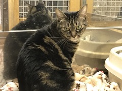 089831CB-CB12-4CF4-9B92-C14EA77CFFEB