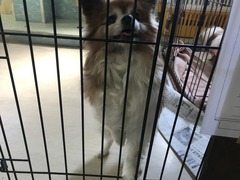 83C72035-6B5C-41E4-9ED8-0CA6A38495ED