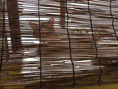 F7C9F2E7-2FD3-40CD-A45B-F1F702B83E02