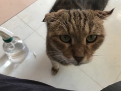 6F665DDA-0F8E-44B0-A191-CCF49397ECEA