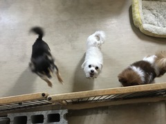 403ADD5C-8432-4827-9BD2-888B0CFF0085