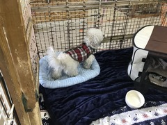 B103B460-7740-48FC-86DE-16BDF5FB86AF