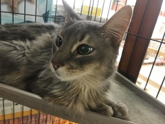 869343D9-C539-4749-A492-F0D141F2F3EB