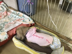 F5A38F97-2A35-41EC-8508-CF630A0AE828