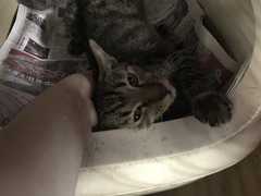 A3450D86-5201-4605-BB97-66A4F1A4EE7D