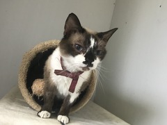 5B512F3F-C2E4-4B2E-808B-751230EED607