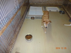 DSC06953